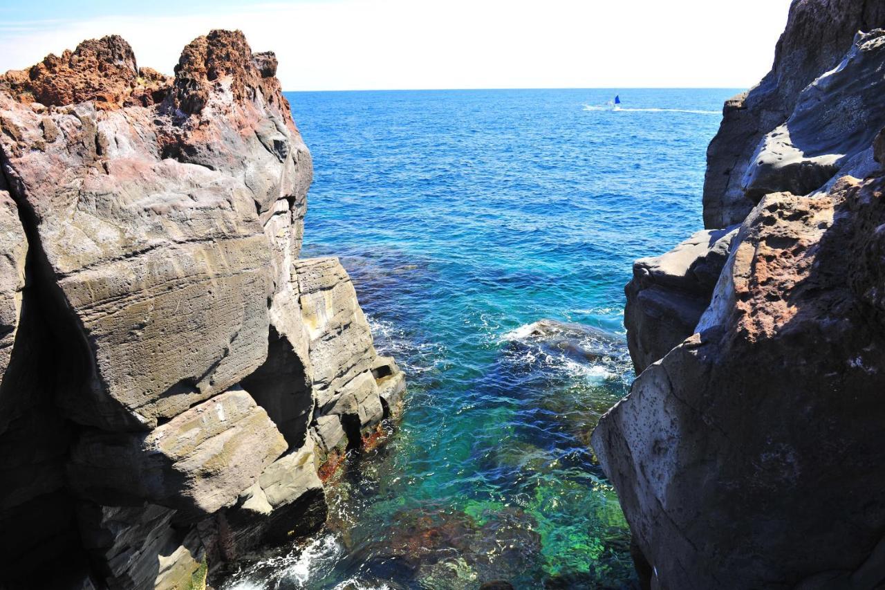 Izu Shirada Villa 伊豆白田家 Higashiizu Exterior photo